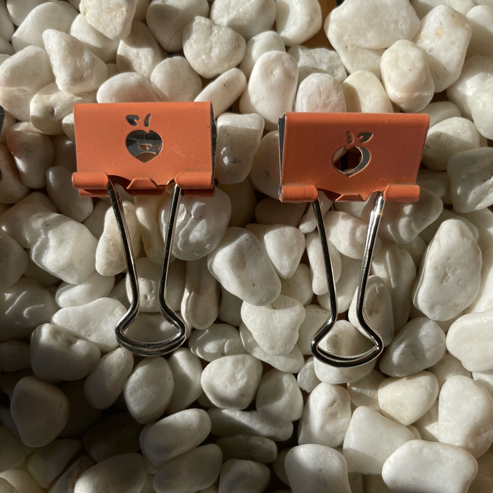 Paper Clips - Picture 8 of 12